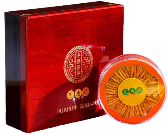 芝康纪冬虫夏草产品介绍