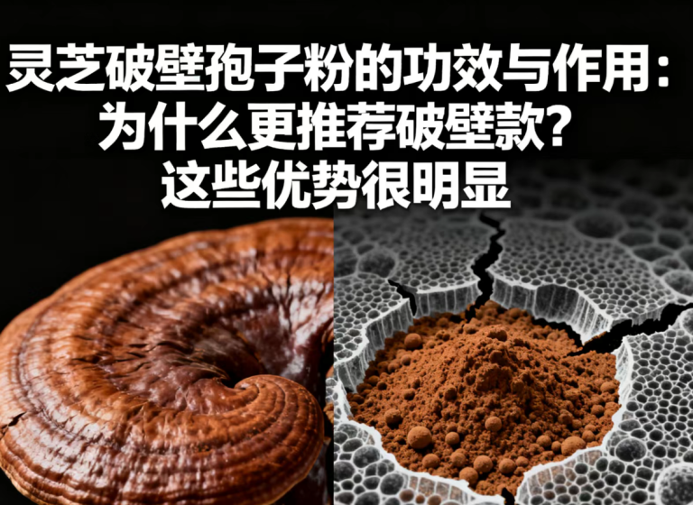 灵芝破壁孢子粉的功效与作用：为什么更推荐破壁款？这些优势很明显
