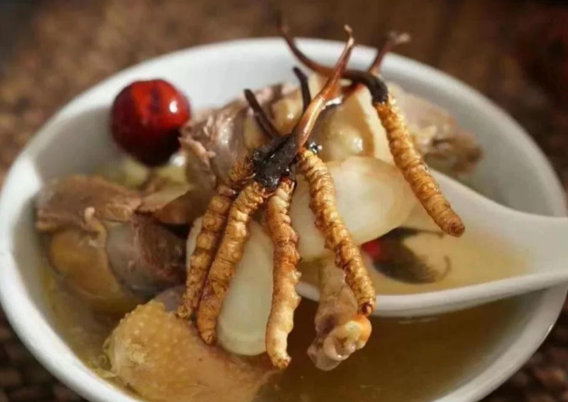 冬虫夏草食用法：打成粉冲水喝，和炖肉吃哪个更好？详解两种主流食用法的优劣对比