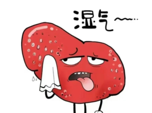 熬夜党、手机党的“续命水”还是“催命符”？关于枸杞原浆，你不得不知的4个禁忌