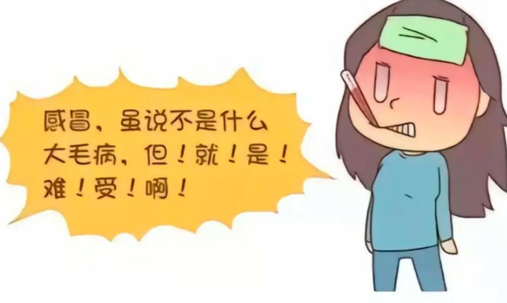 石斛三种人不能吃？服用前一定要了解这些禁忌！