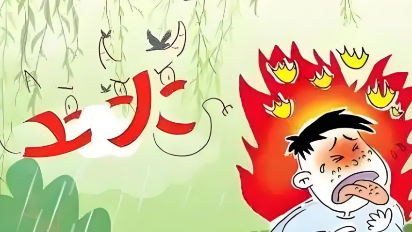 都说枸杞原浆“补肾”，为什么你喝了却“上火”？功效背后的体质密码