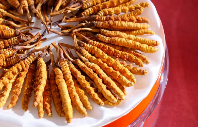 从泡水温度到炖煮火候：冬虫夏草怎么食用的4步实操指南，看完这篇不再交智商税