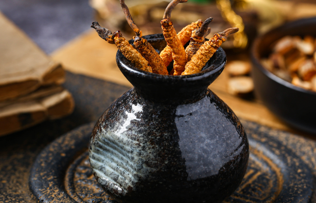 冬虫夏草、虫草花、蛹虫草有什么区别？别混着买