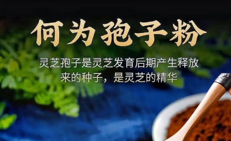 灵芝vs灵芝孢子粉，到底该怎么选？看完这篇不再纠结