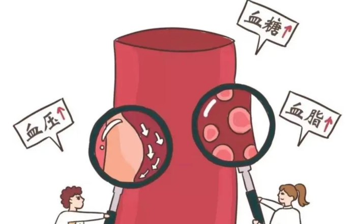 灵芝孢子粉有什么功效？4个关键作用，难怪成为养生热门之选！