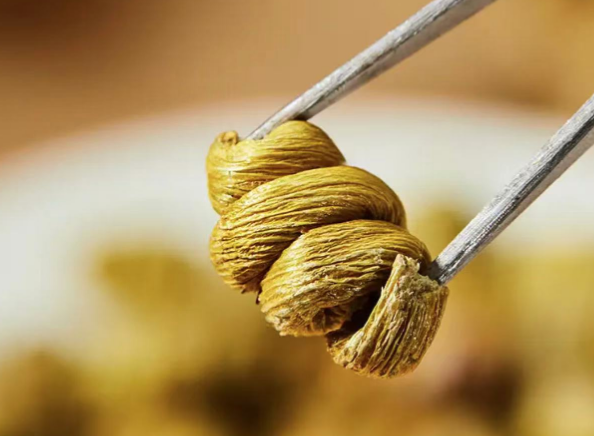 铁皮石斛枫斗要泡多久？泡错方法，味道和体验都打折